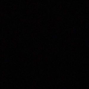 Meet your Posher, Rhiannon